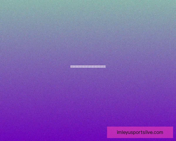 乐鱼体育世界杯盛况回顾与未来展望全面解析