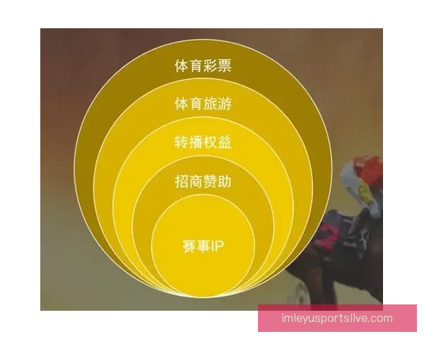 乐鱼体育欧洲杯精彩回顾与前瞻分析全面解读赛事热点与亮点