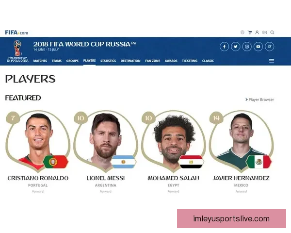 世界杯足球竞猜官网权威数据分析实时预测与新手指南综合服务中心